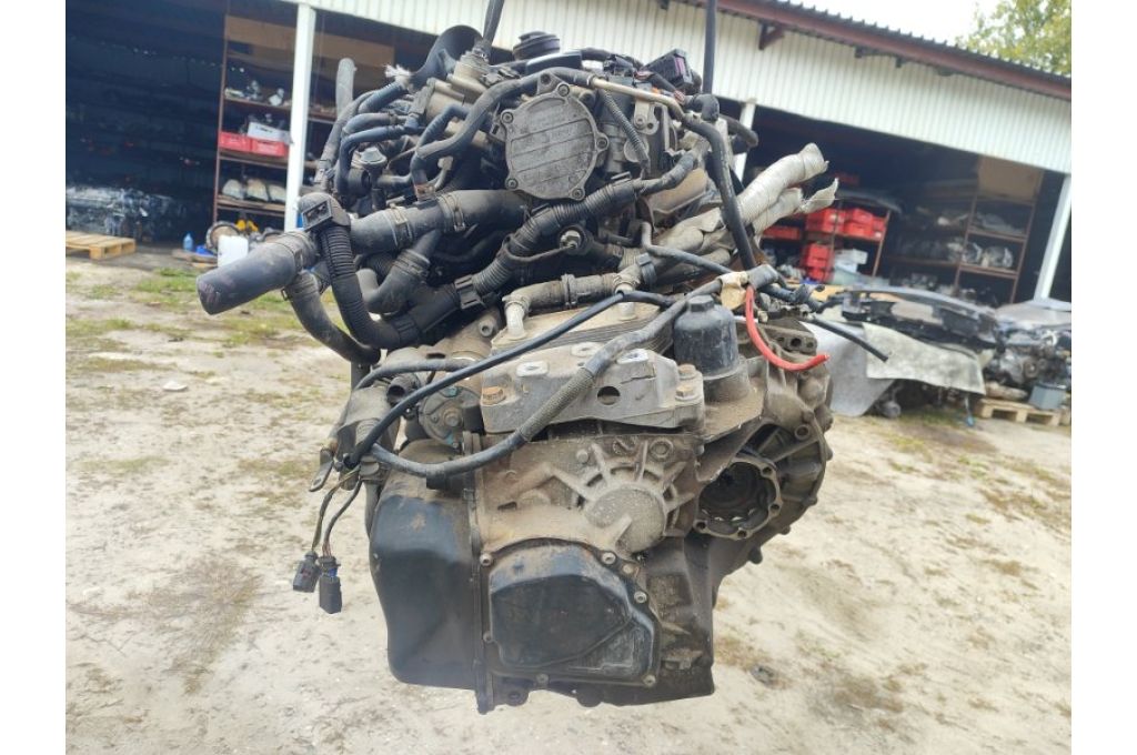 BPY | Silnik benzynowy VOLKSWAGEN GOLF 06-12 (353388) - Zdjęcie 7