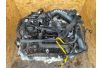 T15HDTX | Silnik benzynowy FORD ESCAPE 12-19 (355373) T15HDTX | Silnik benzynowy FORD ESCAPE 12-19 (355373)