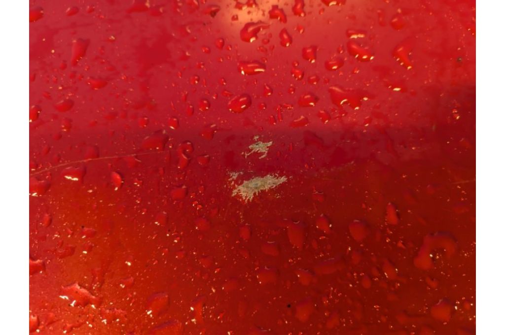 68141696AB | KLAPA TYLNA DODGE DART 12-16 (356562) - Zdjęcie 7