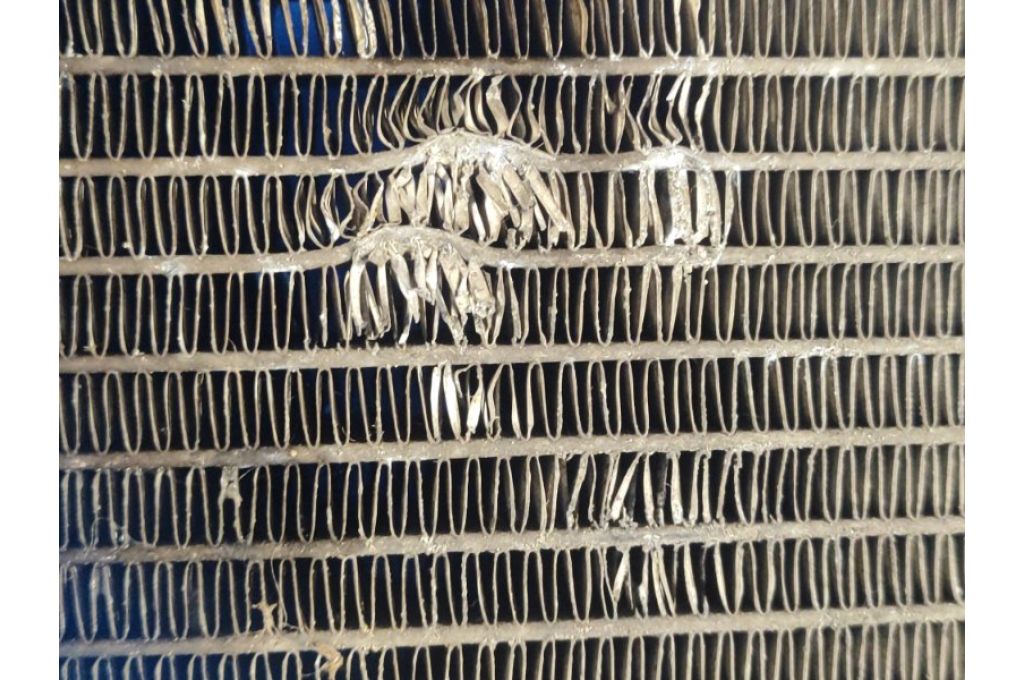 16410-0P030 | Chłodnica wody TOYOTA TACOMA 05-15 (360797) - Zdjęcie 10