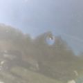 95B831312A | Drzwi przed. praw. PORSCHE MACAN 18-22 (370395) - Podgląd 5