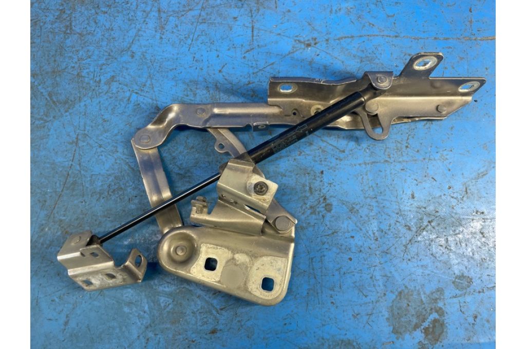 K8D2-16801-A | Zawias maski lew. LAND ROVER EVOQUE 19- (371652)