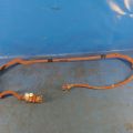 82821-47350 | Okablowanie wysokiego napięcia LEXUS LBX 23- (373372)