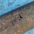 53605-47020 | Кронштейн/крепление топливного бака TOYOTA PRIUS - 30 09-17 (374654) - Podgląd 7