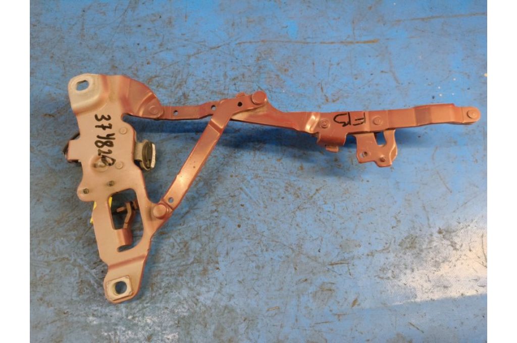 41007270884 | Zawias maski praw. BMW 6 SERIES (F13) 12-18 (374820)