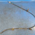 46430-47080 | Linka hamulca postojowego lew. TOYOTA PRIUS - 30 09-17 (375711)