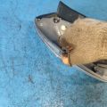 81551-47121 | Lampa Tylna praw. TOYOTA PRIUS - 30 09-17 (346257) - Podgląd 5