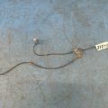 56210-65J00 | czujnik ABS przed. praw. SUZUKI GRAND VITARA 05-15 (377103)