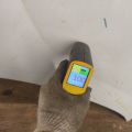 41002993151 | Maska BMW X1 E84 09- (379268) - Podgląd 19