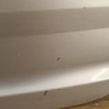 BB5Z-7840010-B | KLAPA TYLNA FORD EXPLORER 10-20 (379331) - Podgląd 10