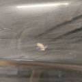 DS7Z-5424631-A | Drzwi tyl. lew. FORD FUSION 14- (379461) - Podgląd 4