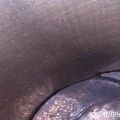 N20B20A | Silnik benzynowy BMW X1 E84 09- (380046) - Podgląd 11