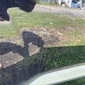 4M0 833 052 E | Drzwi tyl. praw. AUDI Q7 15-19 (380953) - Podgląd 3
