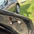 4M0 833 052 E | Drzwi tyl. praw. AUDI Q7 15-19 (380953) - Podgląd 4