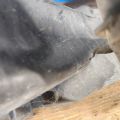 51647058594 | Pas przedni BMW 3 SERIES (E90-E93) 2005–2014 (380959) - Podgląd 18