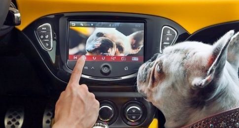 Najdziwniejsze opcje samochodu